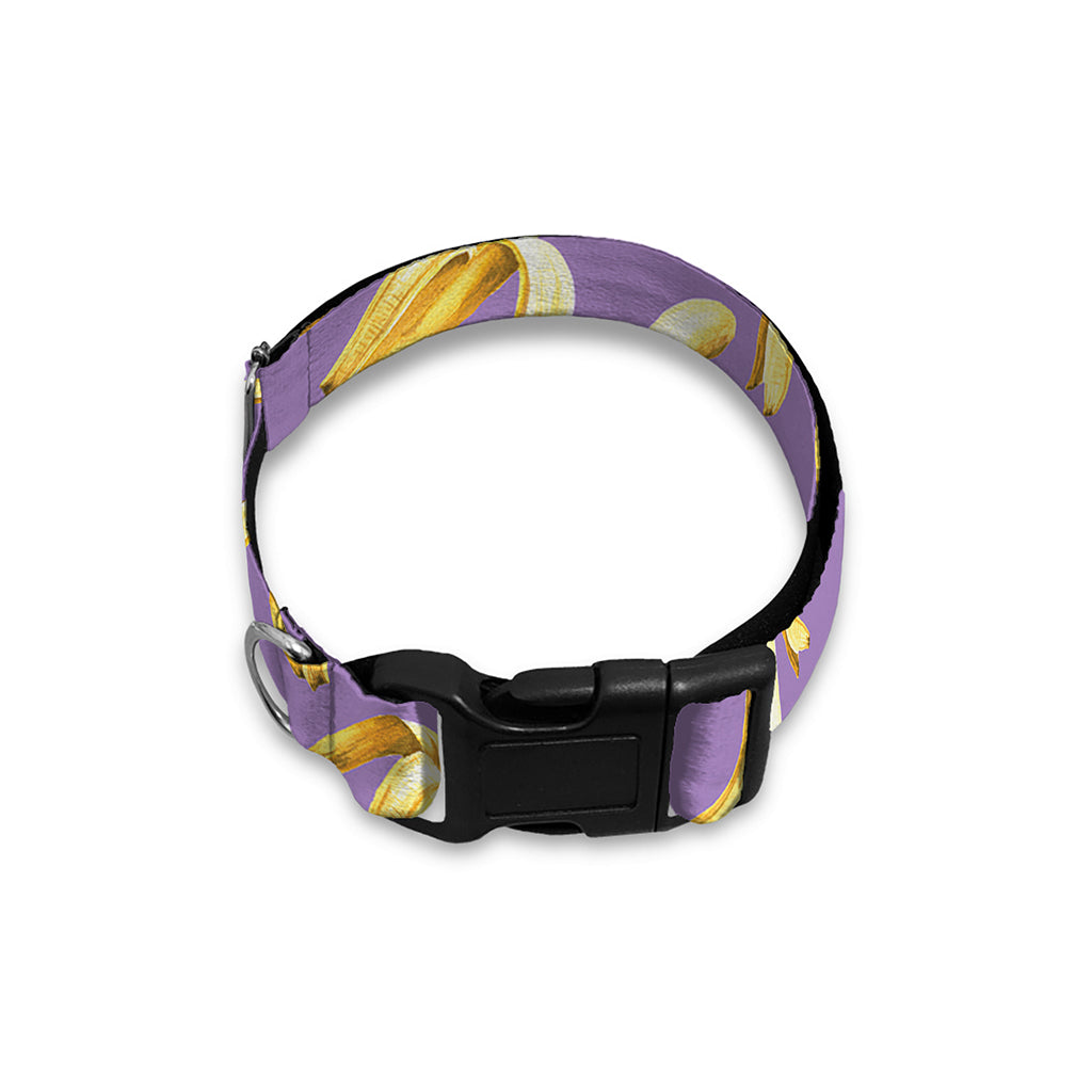 Watercolor Banana Pattern Print Dog Collar