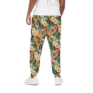 Watercolor Bird Of Paradise Print Cotton Pants