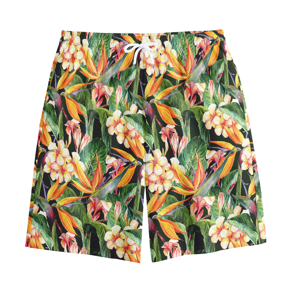 Watercolor Bird Of Paradise Print Cotton Shorts