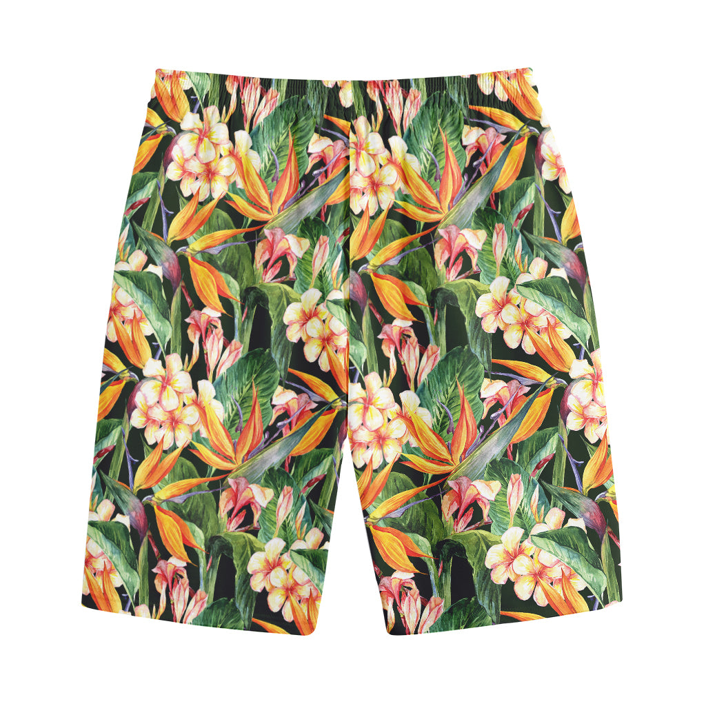 Watercolor Bird Of Paradise Print Cotton Shorts