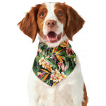 Watercolor Bird Of Paradise Print Dog Bandana