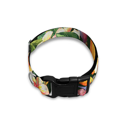 Watercolor Bird Of Paradise Print Dog Collar