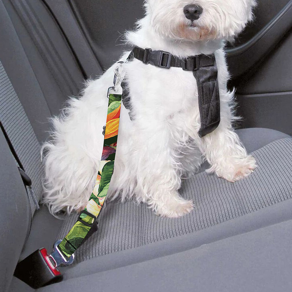 Watercolor Bird Of Paradise Print Dog Seat Belt