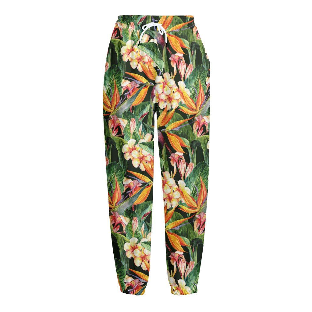 Watercolor Bird Of Paradise Print Fleece Lined Knit Pants