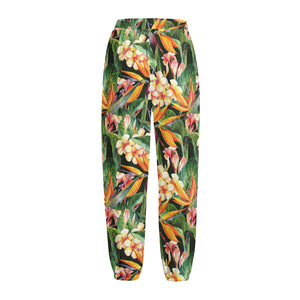 Watercolor Bird Of Paradise Print Fleece Lined Knit Pants