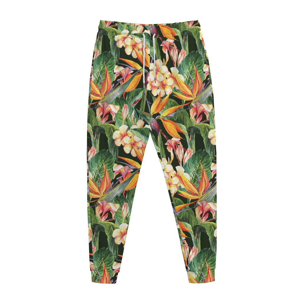 Watercolor Bird Of Paradise Print Jogger Pants
