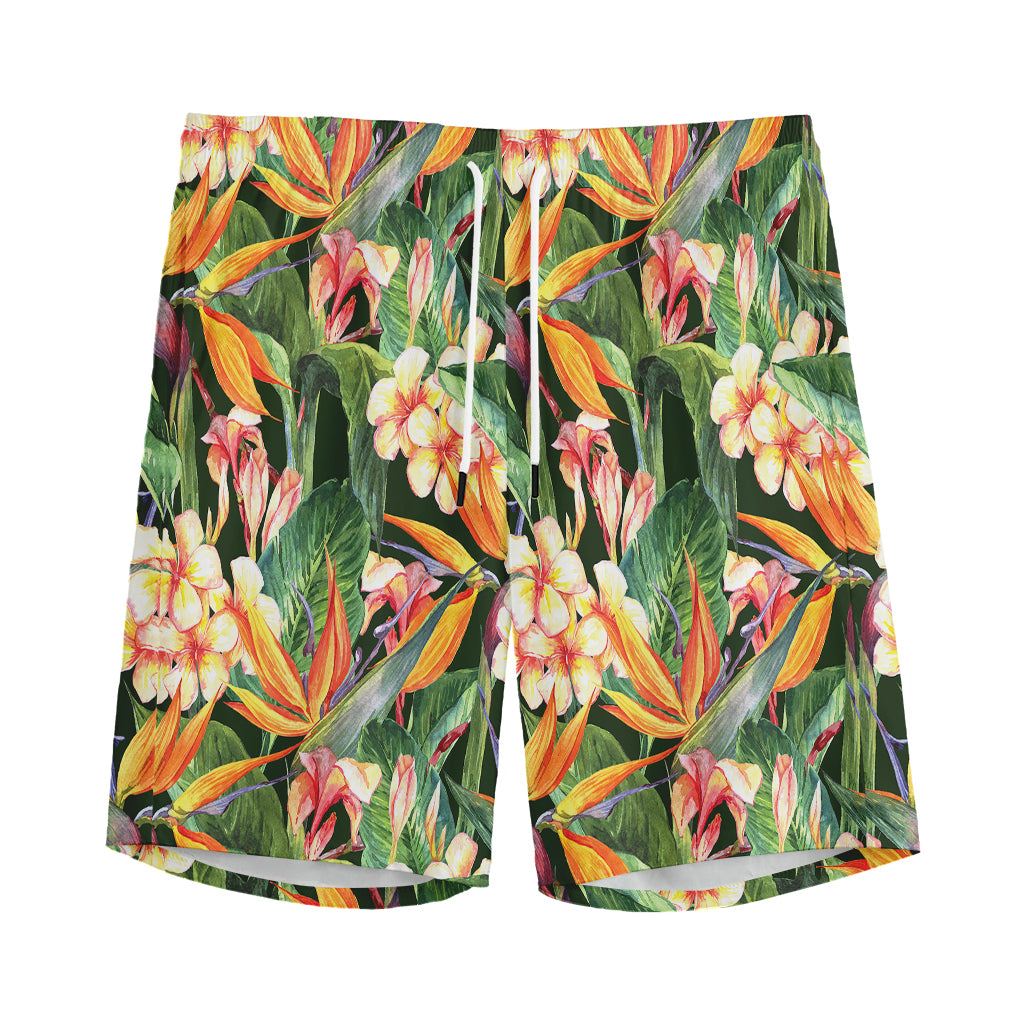 Watercolor Bird Of Paradise Print Men's Sports Shorts