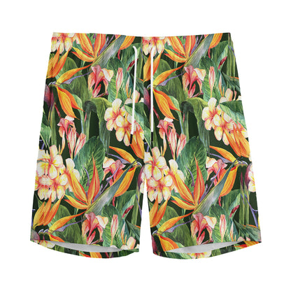 Watercolor Bird Of Paradise Print Men's Sports Shorts