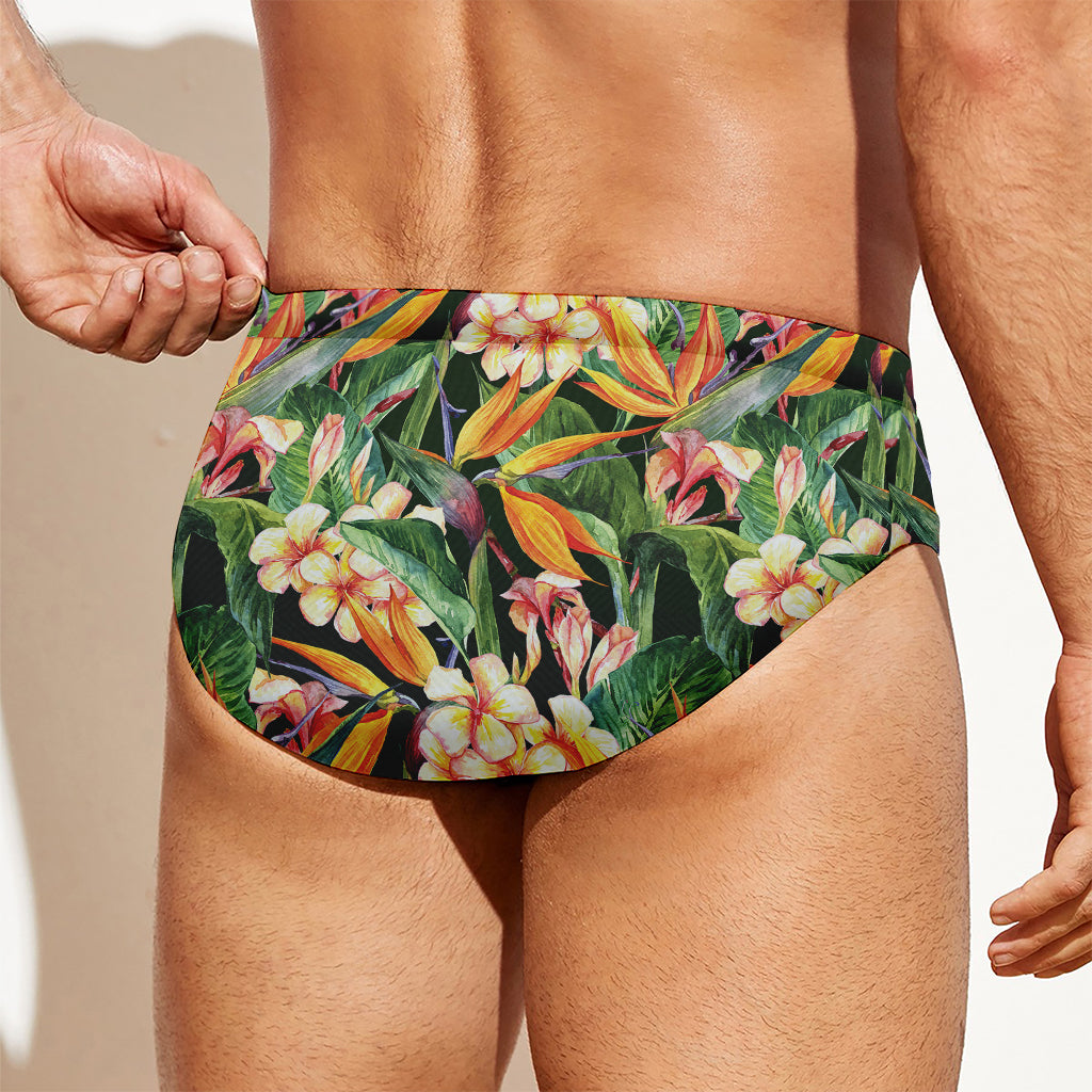 Watercolor Bird Of Paradise Print Men's Swim Briefs