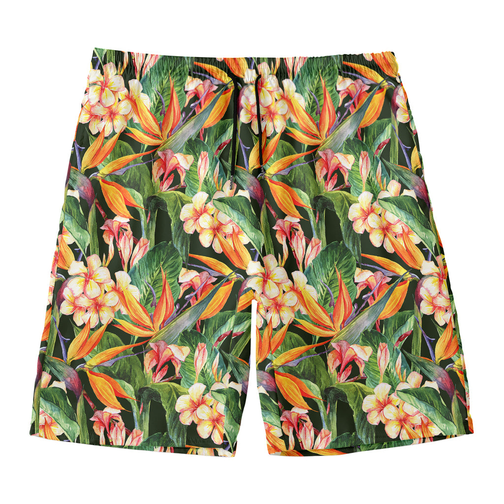 Watercolor Bird Of Paradise Print Men's Swim Trunks