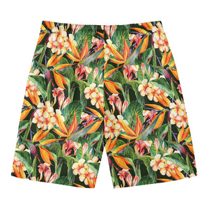 Watercolor Bird Of Paradise Print Men's Swim Trunks