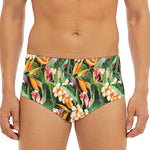 Watercolor Bird Of Paradise Print Men's Triangle Swim Briefs
