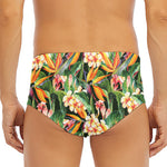 Watercolor Bird Of Paradise Print Men's Triangle Swim Briefs