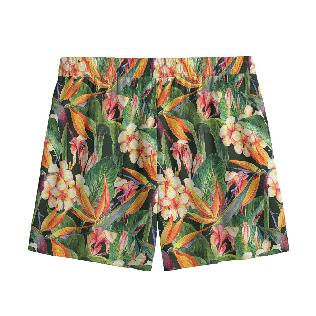 Watercolor Bird Of Paradise Print Mesh Shorts