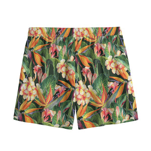 Watercolor Bird Of Paradise Print Mesh Shorts