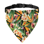 Watercolor Bird Of Paradise Print Over The Collar Dog Bandana