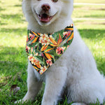 Watercolor Bird Of Paradise Print Over The Collar Dog Bandana