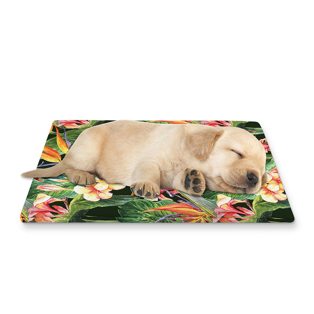 Watercolor Bird Of Paradise Print Pet Cooling Mat Cover