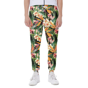 Watercolor Bird Of Paradise Print Scuba Joggers