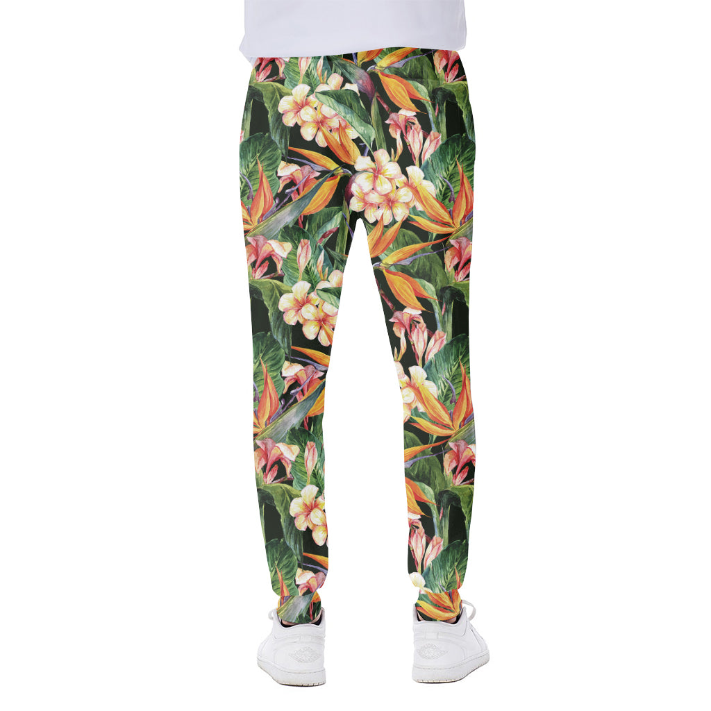 Watercolor Bird Of Paradise Print Scuba Joggers