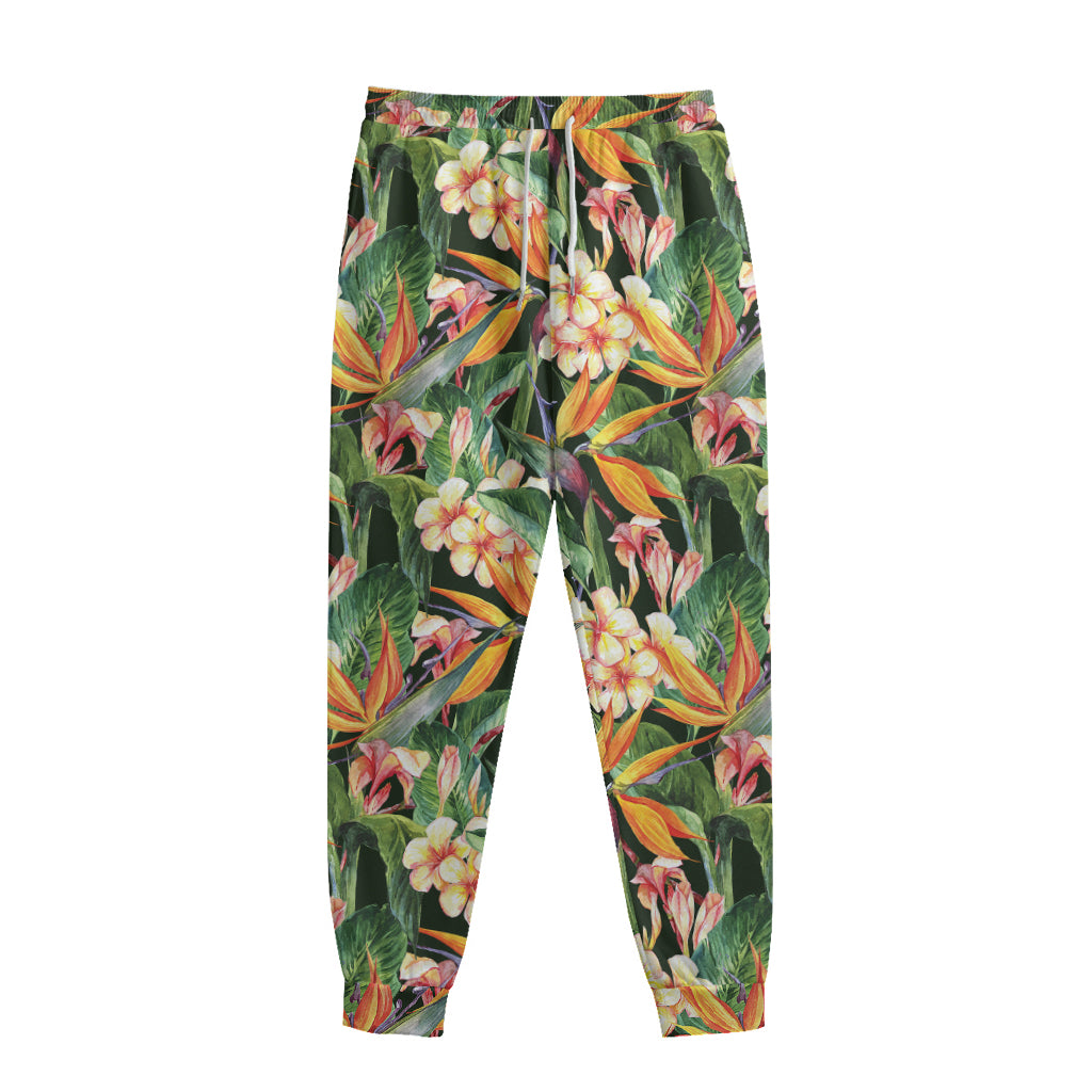 Watercolor Bird Of Paradise Print Sweatpants