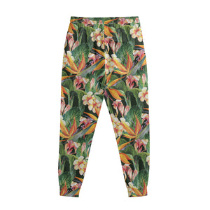 Watercolor Bird Of Paradise Print Sweatpants