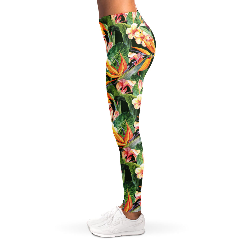 Watercolor Bird Of Paradise Print Women's Leggings