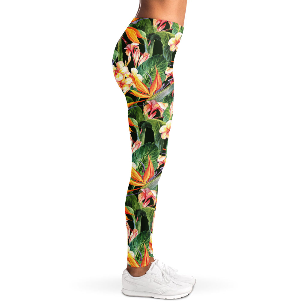 Watercolor Bird Of Paradise Print Women's Leggings