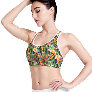 Watercolor Bird Of Paradise Print Women's Sports Bra