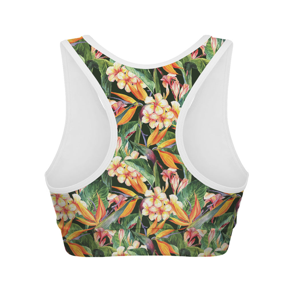 Watercolor Bird Of Paradise Print Women's Sports Bra