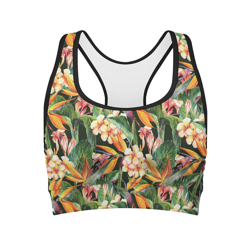 Watercolor Bird Of Paradise Print Women's Sports Bra