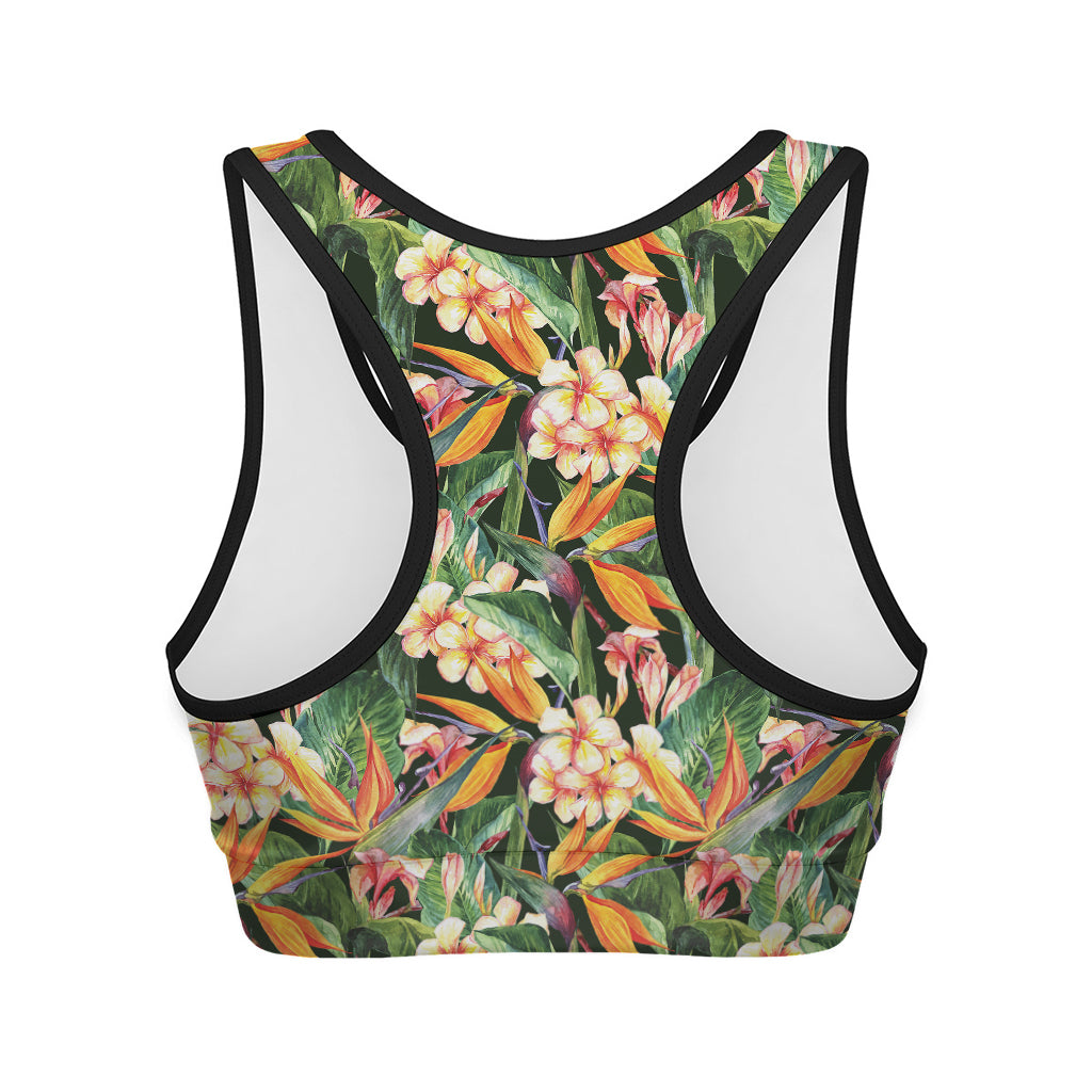 Watercolor Bird Of Paradise Print Women's Sports Bra