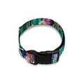 Watercolor Blooming Cactus Print Dog Collar