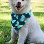 Watercolor Blue Butterfly Pattern Print Over The Collar Dog Bandana