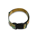 Watercolor Bookshelf Pattern Print Dog Collar