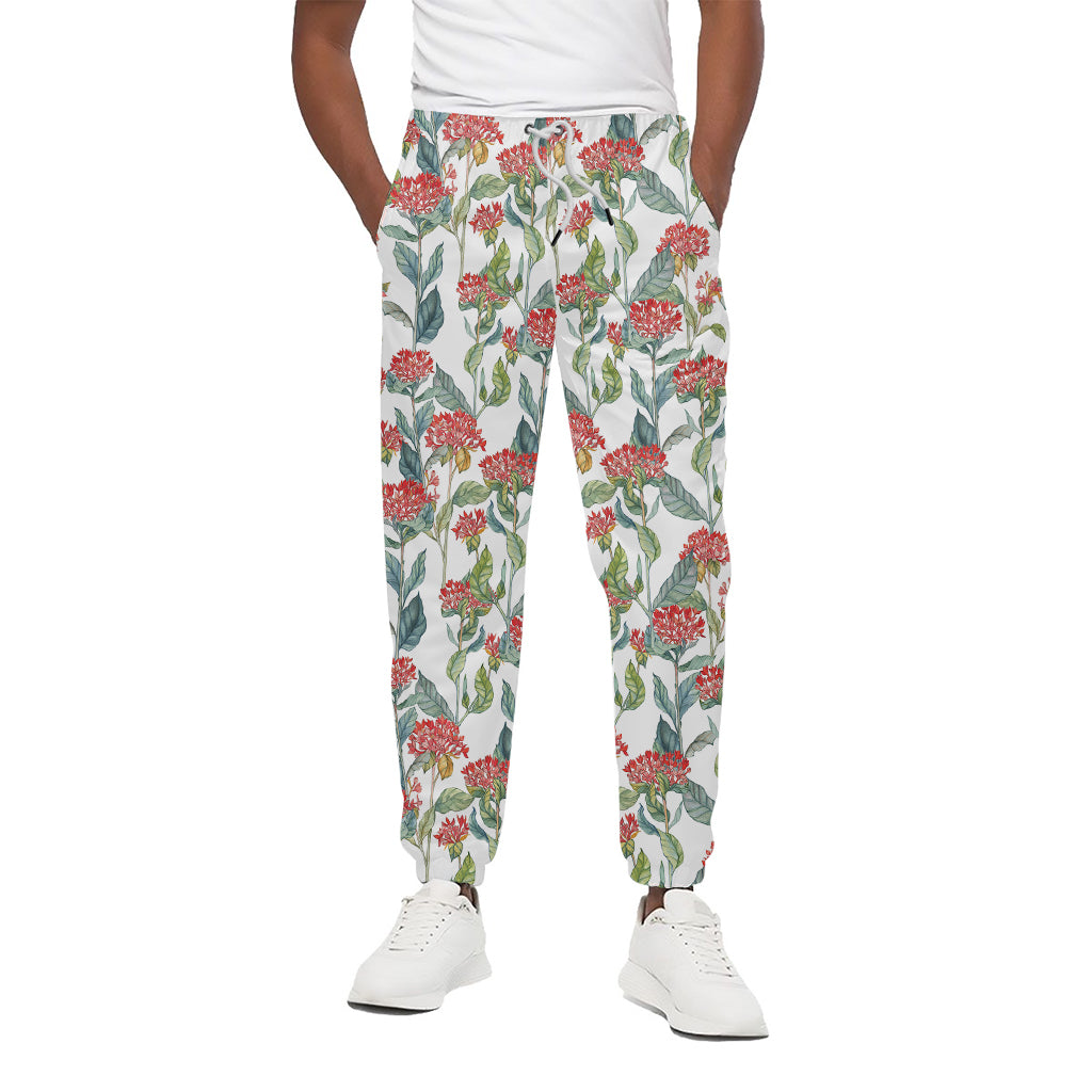 Watercolor Bouvardia Print Cotton Pants