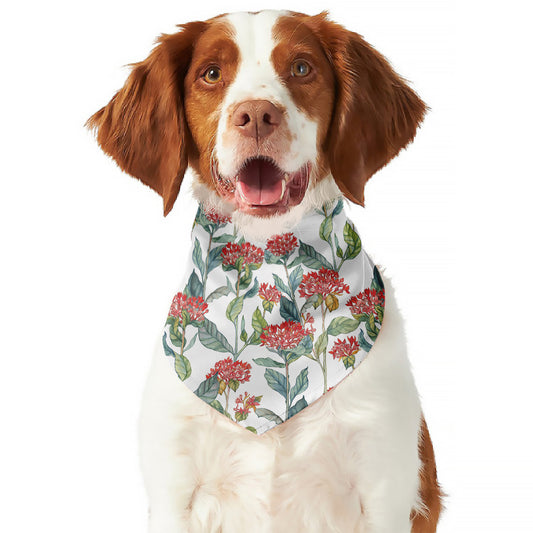 Watercolor Bouvardia Print Dog Bandana
