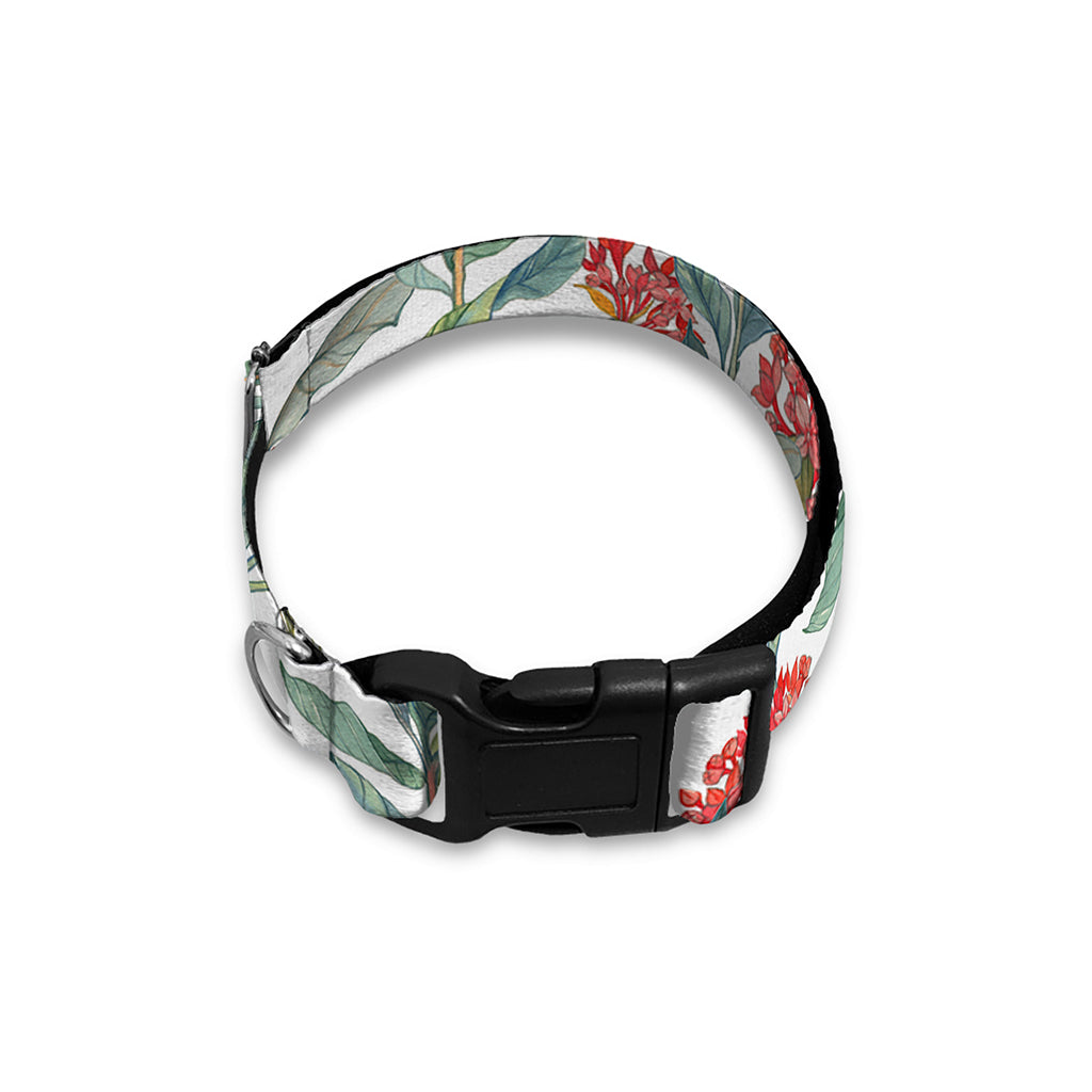 Watercolor Bouvardia Print Dog Collar