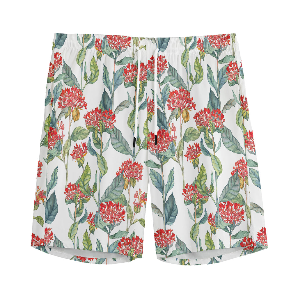 Watercolor Bouvardia Print Men's Sports Shorts