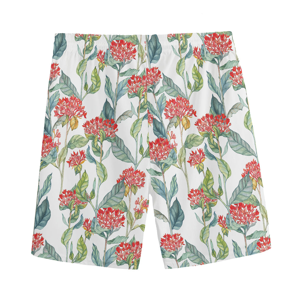 Watercolor Bouvardia Print Men's Sports Shorts