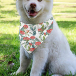 Watercolor Bouvardia Print Over The Collar Dog Bandana