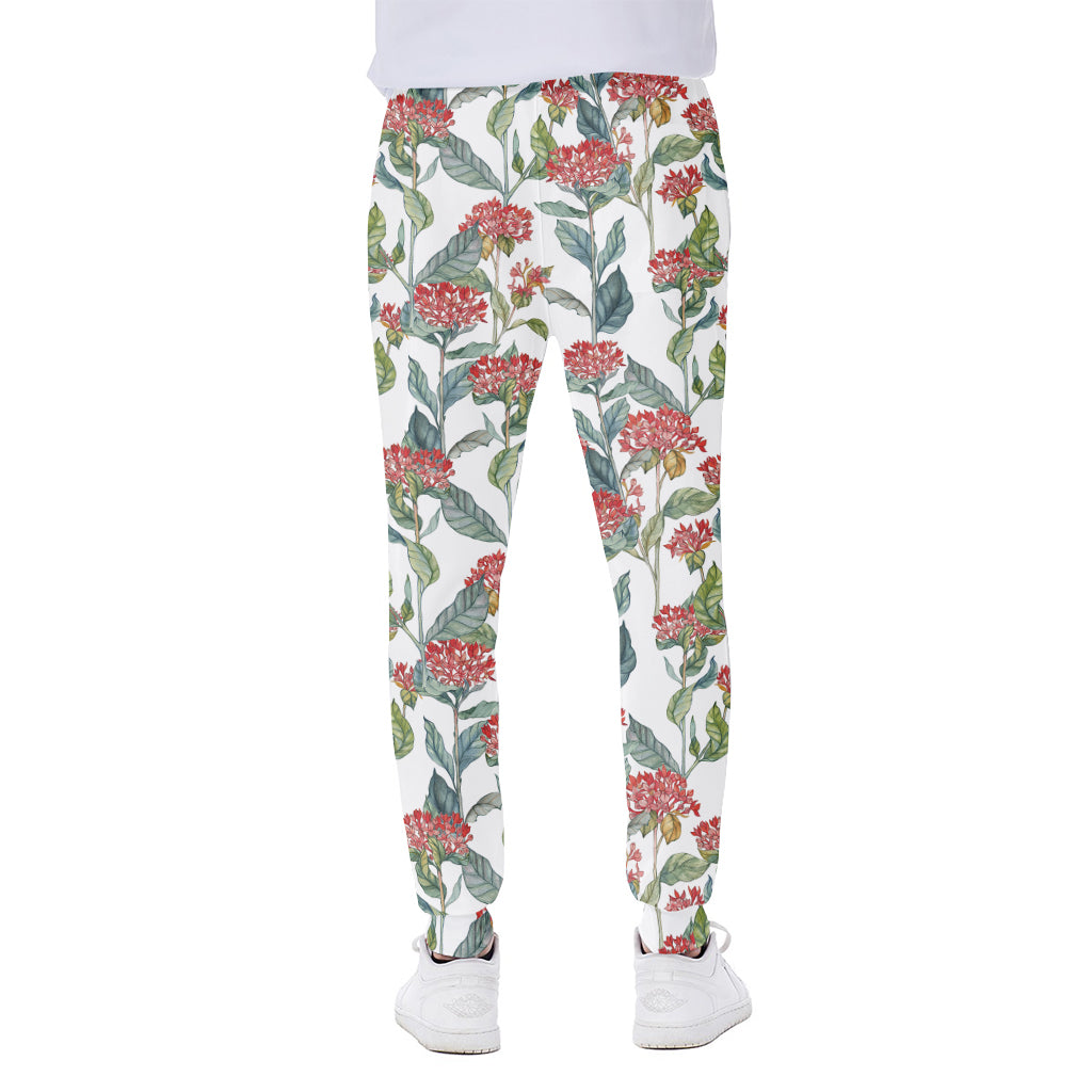 Watercolor Bouvardia Print Scuba Joggers