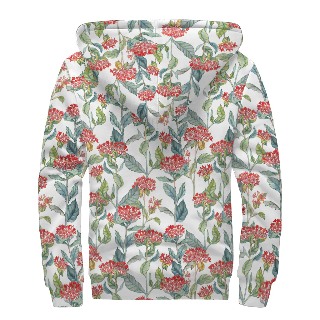 Watercolor Bouvardia Print Sherpa Lined Zip Up Hoodie