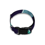 Watercolor Bowling Pins Pattern Print Dog Collar
