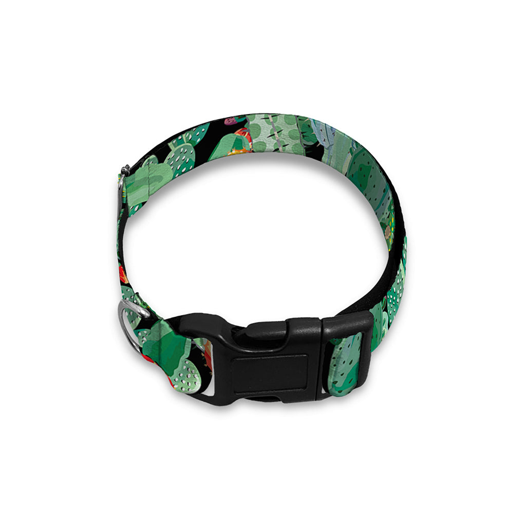 Watercolor Cactus Plant Print Dog Collar