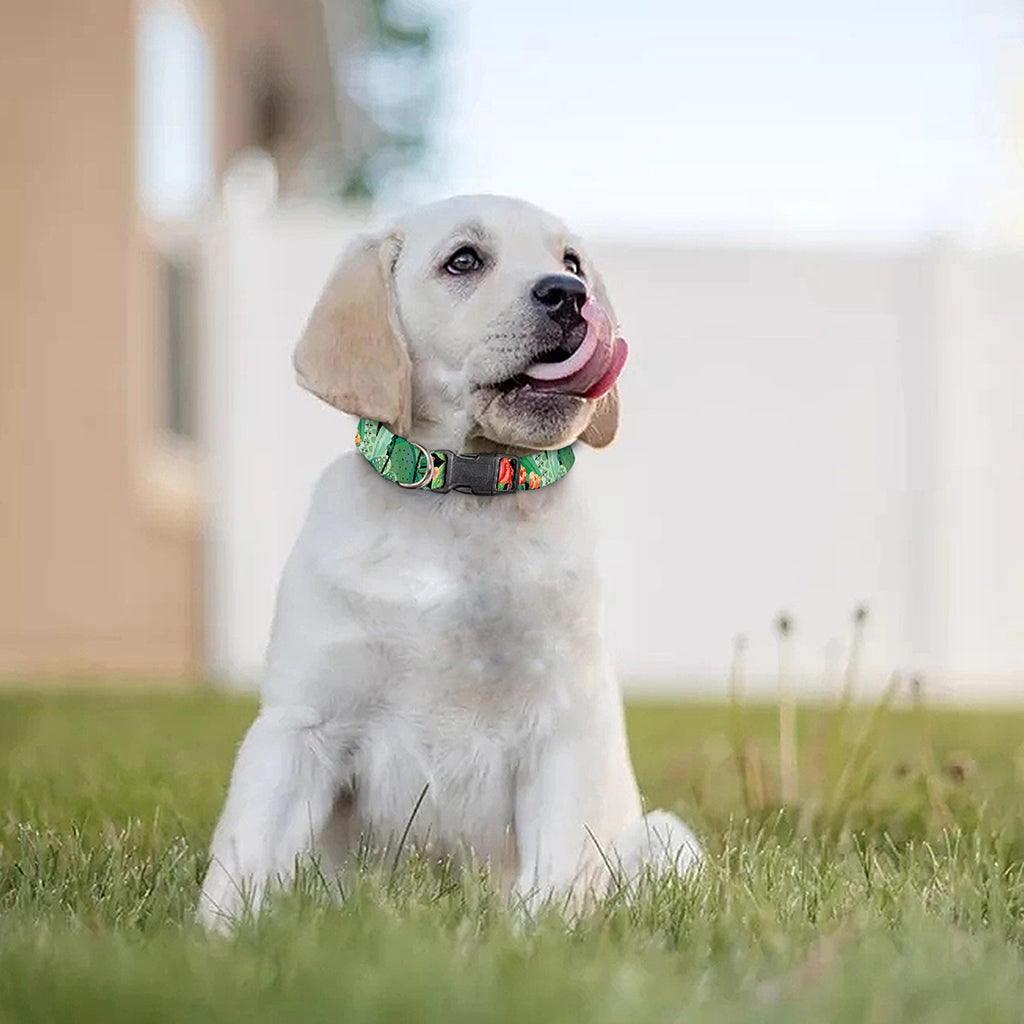 Watercolor Cactus Plant Print Dog Collar