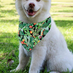 Watercolor Cactus Plant Print Over The Collar Dog Bandana