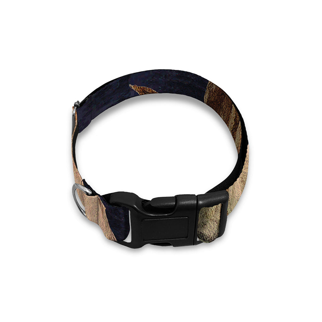 Watercolor Capricorn Zodiac Sign Print Dog Collar