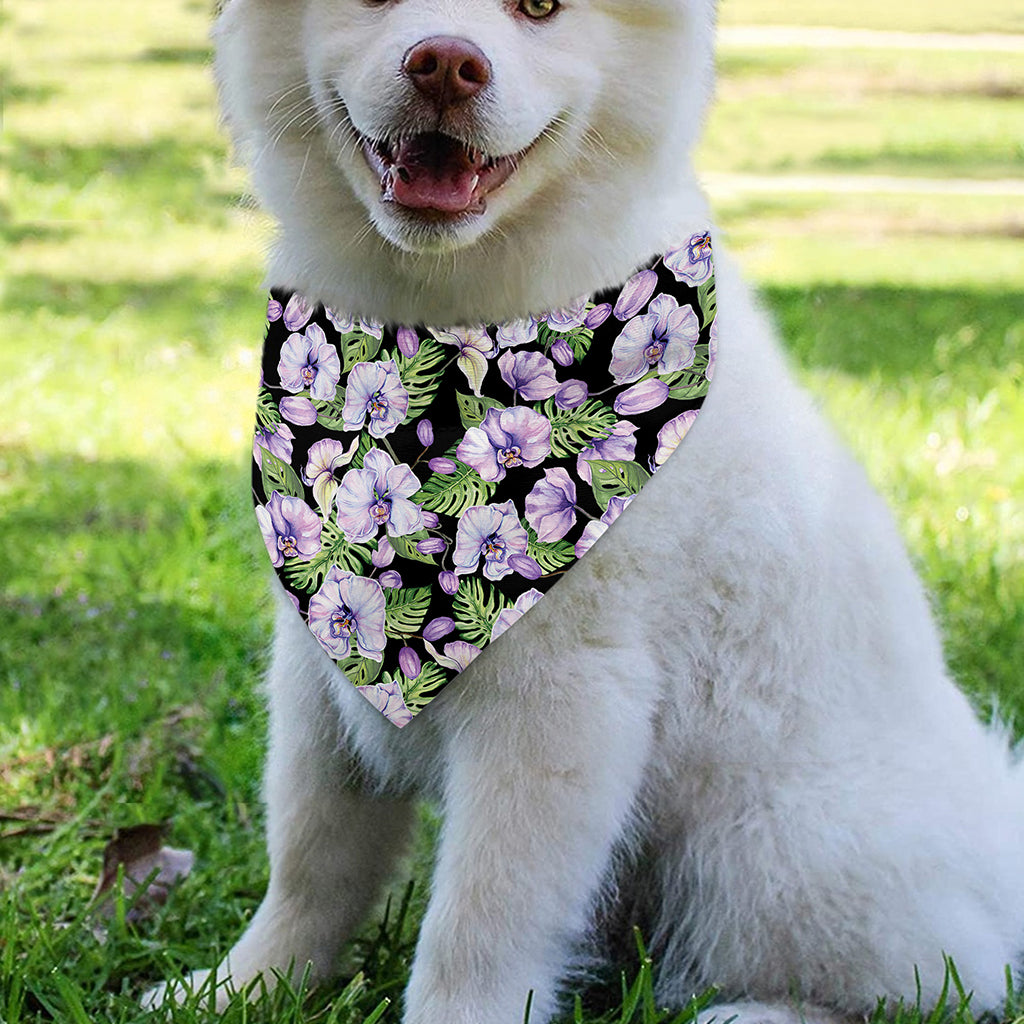 Watercolor Cattleya Pattern Print Over The Collar Dog Bandana
