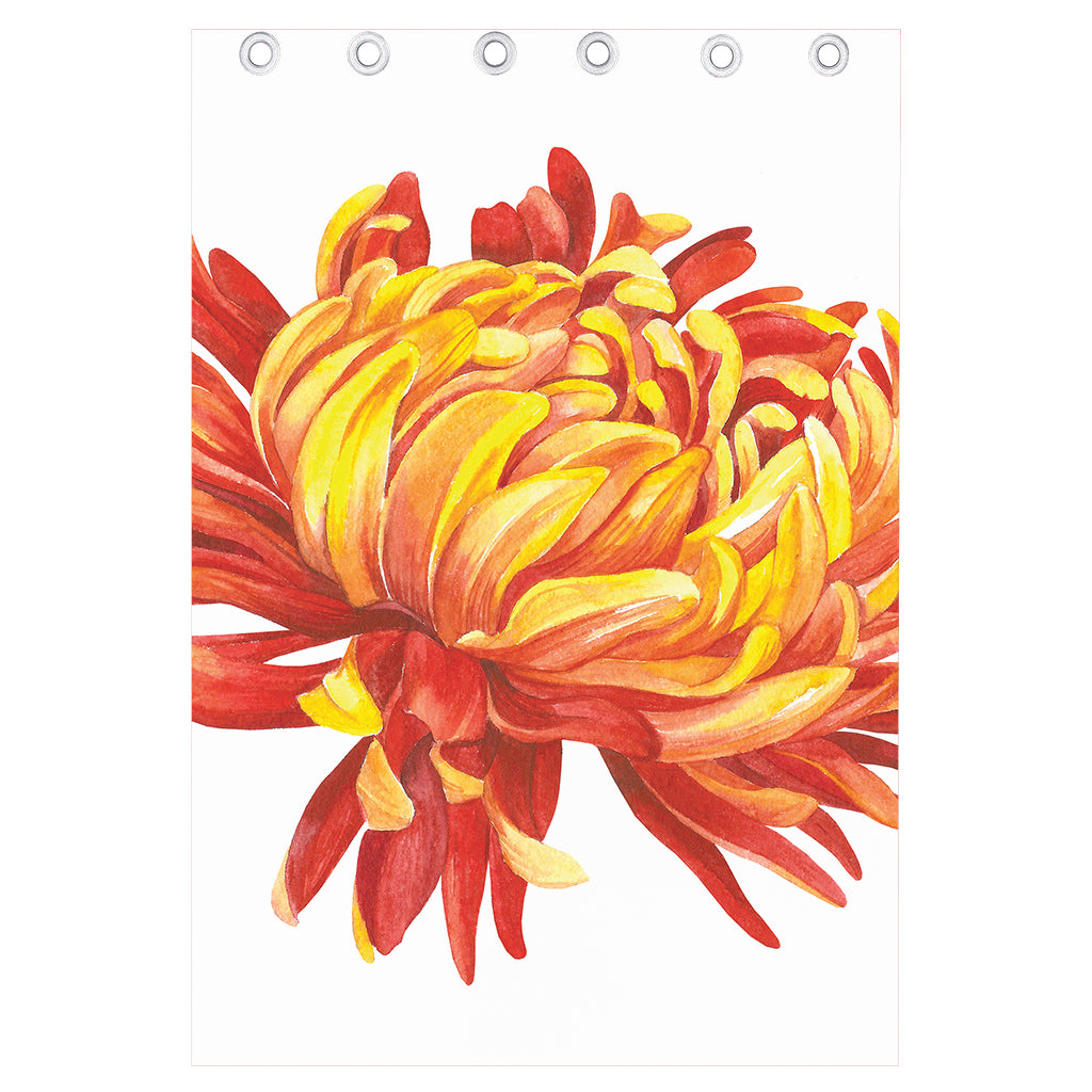 Watercolor Chrysanthemum Print Curtain